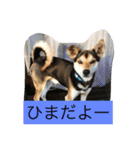 癒されるよね〜（個別スタンプ：6）