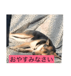 癒されるよね〜（個別スタンプ：7）