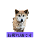 癒されるよね〜（個別スタンプ：8）