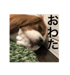 エディ好きのためのスタンプ（個別スタンプ：5）