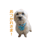 猫のいーくんと仲間たち（個別スタンプ：2）