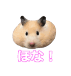 猫のいーくんと仲間たち（個別スタンプ：3）