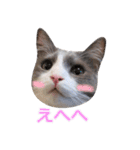猫のいーくんと仲間たち（個別スタンプ：12）