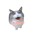 猫のいーくんと仲間たち（個別スタンプ：18）