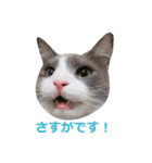 猫のいーくんと仲間たち（個別スタンプ：23）