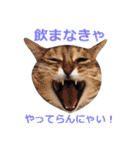 猫のいーくんと仲間たち（個別スタンプ：32）