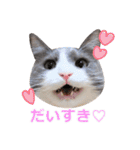 猫のいーくんと仲間たち（個別スタンプ：34）