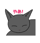 ぶち猫さんと黒猫さん（個別スタンプ：4）