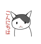 ぶち猫さんと黒猫さん（個別スタンプ：5）