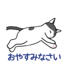 ぶち猫さんと黒猫さん（個別スタンプ：7）