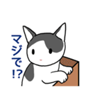 ぶち猫さんと黒猫さん（個別スタンプ：13）