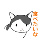 ぶち猫さんと黒猫さん（個別スタンプ：17）