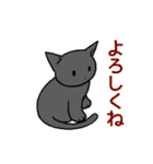 ぶち猫さんと黒猫さん（個別スタンプ：18）