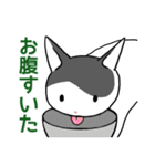 ぶち猫さんと黒猫さん（個別スタンプ：19）