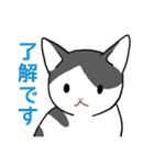 ぶち猫さんと黒猫さん（個別スタンプ：27）