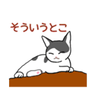 ぶち猫さんと黒猫さん（個別スタンプ：33）