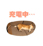 こたうらスタンプ Part 2（個別スタンプ：26）