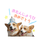 こたうらスタンプ Part 2（個別スタンプ：40）