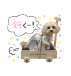 Shell stamp♥（個別スタンプ：8）