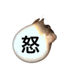 ヒロマサ殿（個別スタンプ：5）