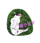 帰りま〜す（個別スタンプ：1）