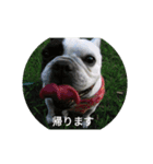 帰りま〜す（個別スタンプ：3）