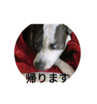 帰りま〜す（個別スタンプ：4）