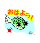 ミドリフグのみーさんです。はじめまして！（個別スタンプ：11）