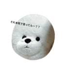 土から生まれた僕たちとそのトモダチ（個別スタンプ：13）