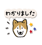 Every Day Dog SHIBA 日本語3（個別スタンプ：2）