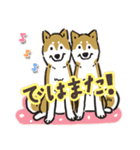 Every Day Dog SHIBA 日本語3（個別スタンプ：4）