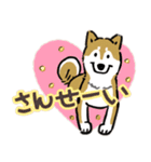 Every Day Dog SHIBA 日本語3（個別スタンプ：6）