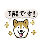 Every Day Dog SHIBA 日本語3（個別スタンプ：10）