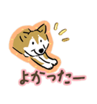 Every Day Dog SHIBA 日本語3（個別スタンプ：16）