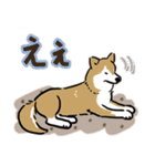 Every Day Dog SHIBA 日本語3（個別スタンプ：20）