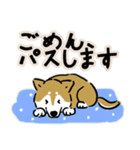 Every Day Dog SHIBA 日本語3（個別スタンプ：22）