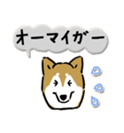 Every Day Dog SHIBA 日本語3（個別スタンプ：24）