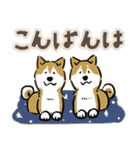 Every Day Dog SHIBA 日本語3（個別スタンプ：25）