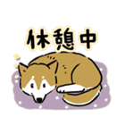 Every Day Dog SHIBA 日本語3（個別スタンプ：28）