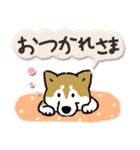 Every Day Dog SHIBA 日本語3（個別スタンプ：39）