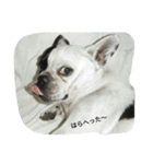 こんちは！！（個別スタンプ：4）
