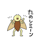 セミのスタンプ（個別スタンプ：16）