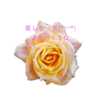 春満開（個別スタンプ：8）