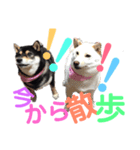 柴犬女子。。。（個別スタンプ：8）
