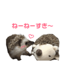 愛しのこむちゃん3（個別スタンプ：1）
