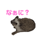 愛しのこむちゃん3（個別スタンプ：4）