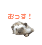 愛しのこむちゃん3（個別スタンプ：6）