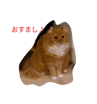 ひな＆すず（個別スタンプ：3）