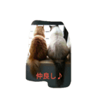 ひな＆すず（個別スタンプ：5）