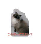 ひな＆すず（個別スタンプ：8）